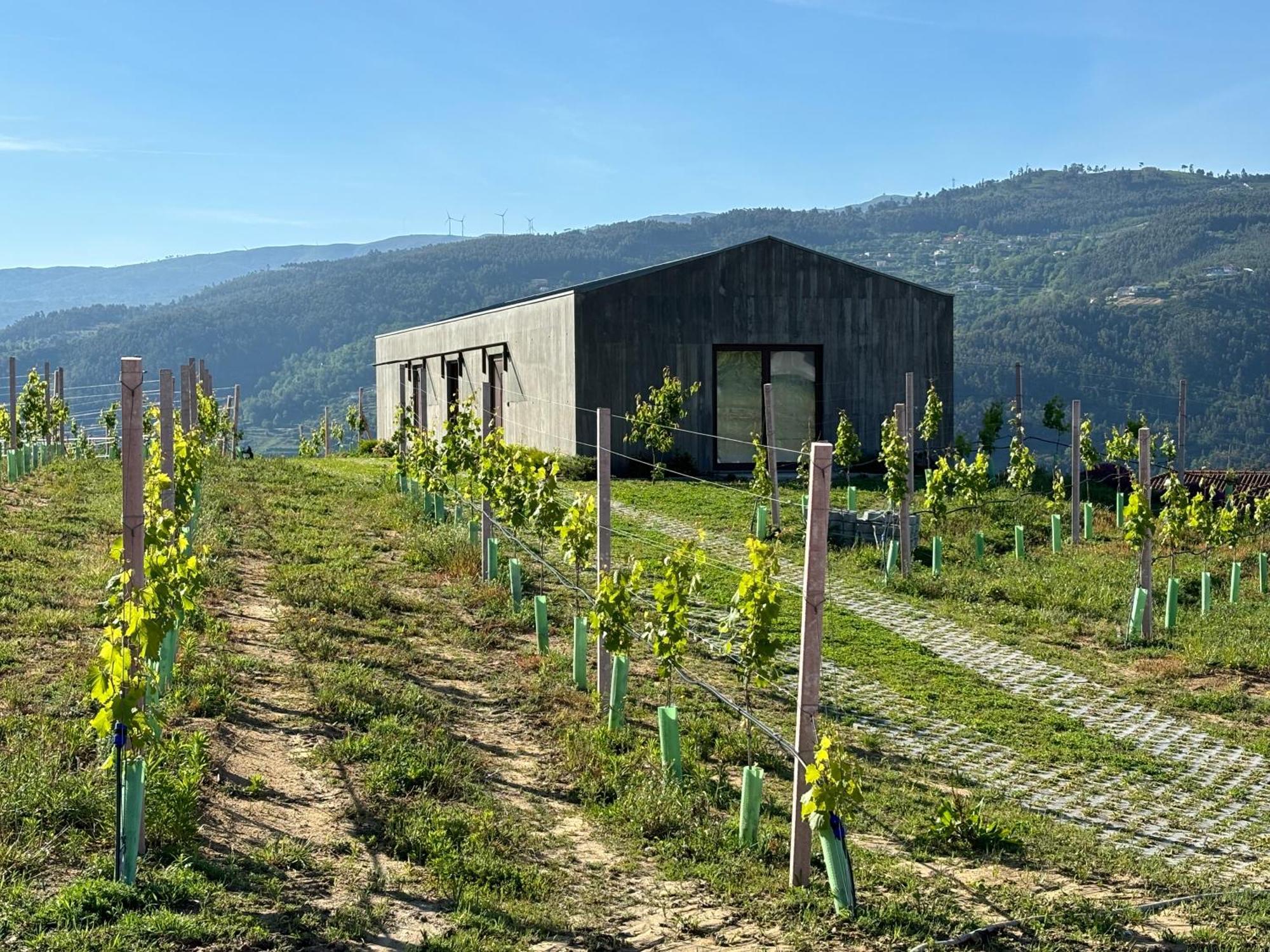 Apartment Refugio Douro Marco de Canaveses