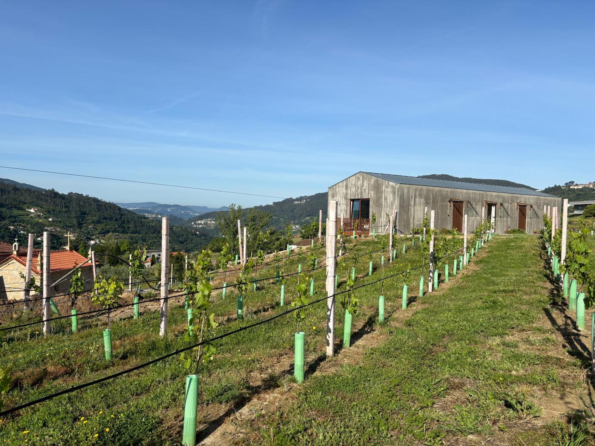 Apartment Refugio Douro